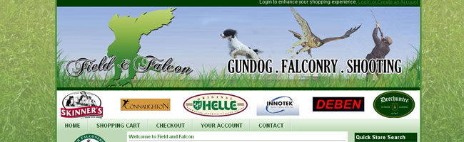 web design wrexham